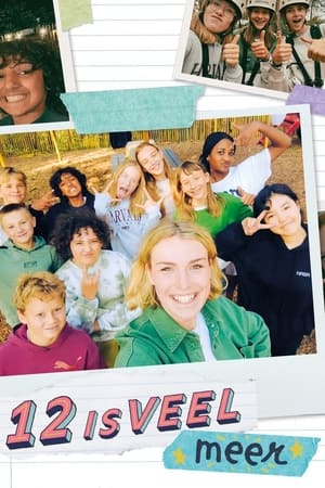 12 Is Veel Meer