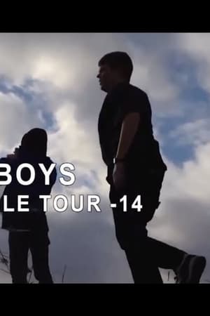 Sadboys: White Marble Tour 2014