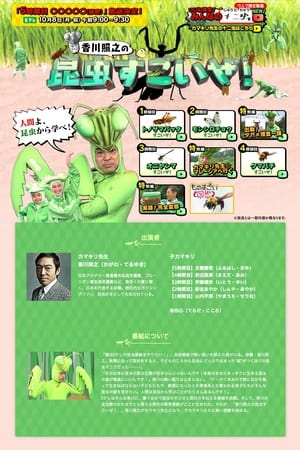 香川照之的昆虫好厉害呦！