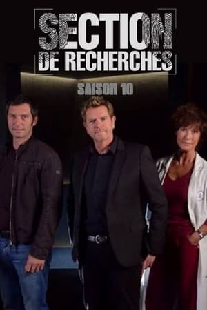 Section de recherches第10季
