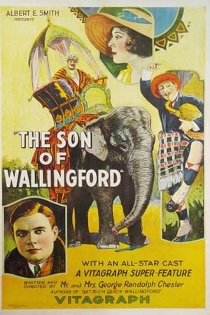 The Son of Wallingford
