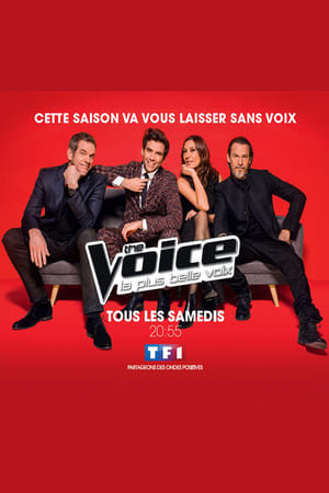 The Voice : La Plus Belle Voix第5季