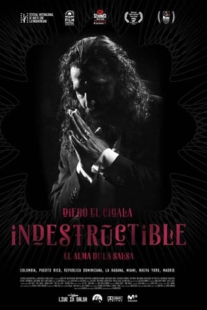 Indestructible: El alma de la salsa