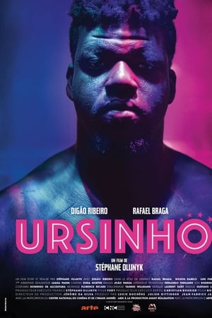 Ursinho