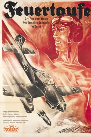 Feuertaufe - Der Film vom Einsatz unserer Luftwaffe im polnischen Feldzug