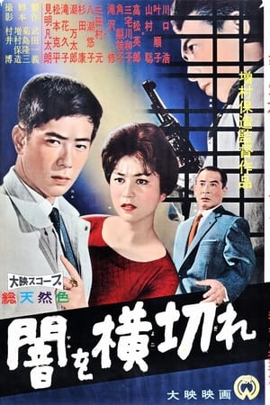 闇を横切れ