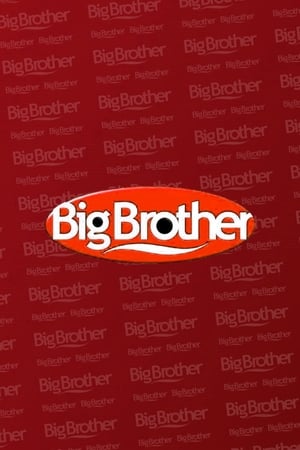 Big Brother第2季