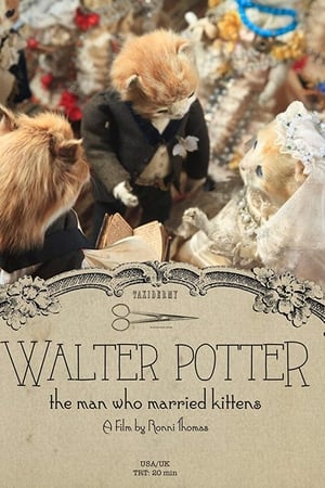 Walter Potter: The Man Who Married Kittens