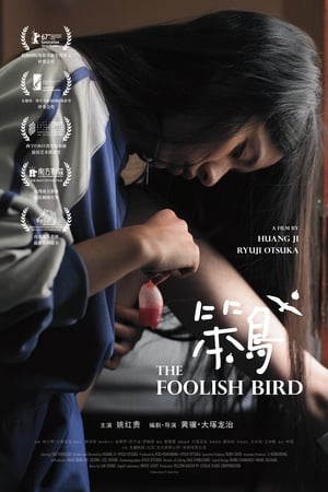 笨鸟
