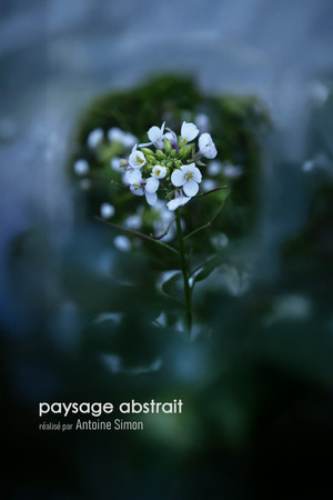 paysage abstrait