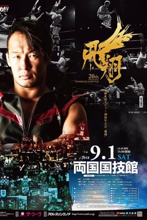 NOAH: Naomichi Marufuji 20th Anniversary Show