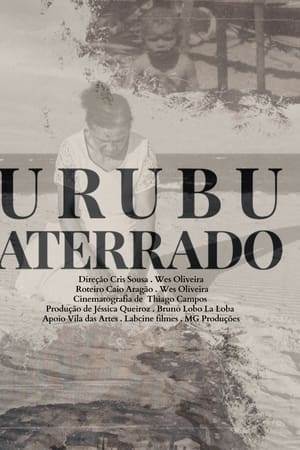 Urubu Aterrrado