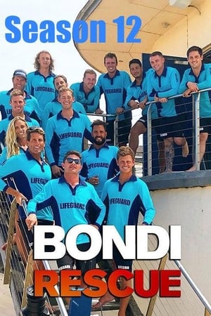 Bondi Rescue第12季