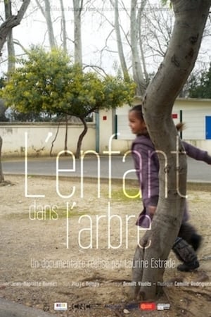 L'enfant dans l'arbre