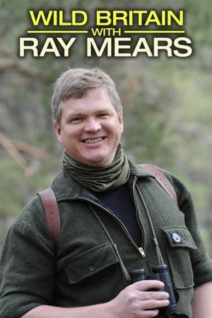 Stříbrná paruka
