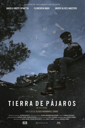 Tierra de Pájaros