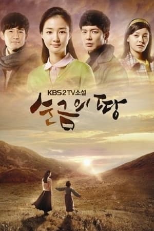 순금의 땅