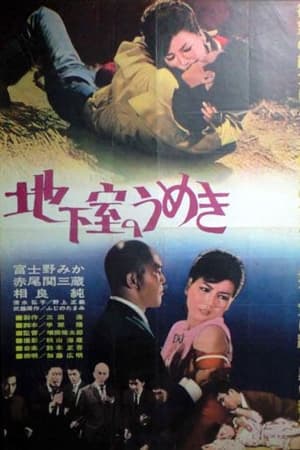 地下室的旋律