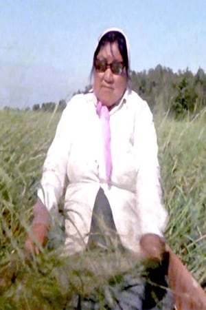 Canada Vignettes: Wild Rice Harvest Kenora