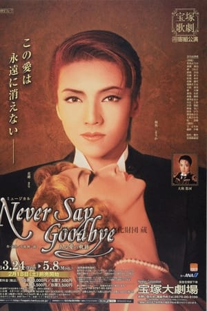 NEVER SAY GOODBYE－ある愛の軌跡－