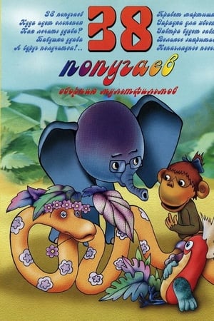 38 попугаев