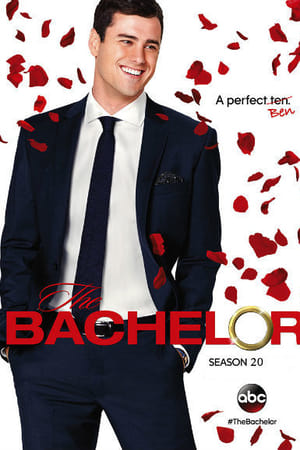 The Bachelor第20季