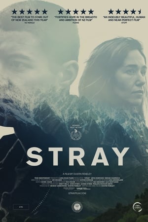 Stray