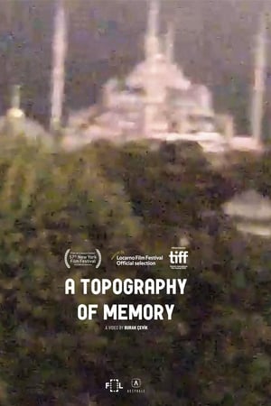 A Topography of Memory