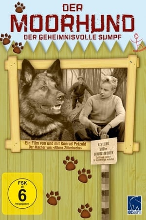Der Moorhund
