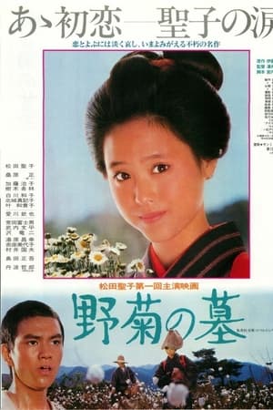 野菊の墓
