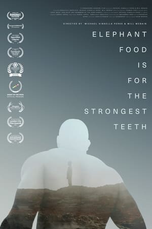 Elephant Food Is for the Strongest Teeth