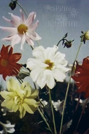 Spring Comes to Kashmir