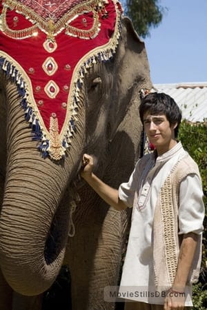 The Elephant Princess第2季