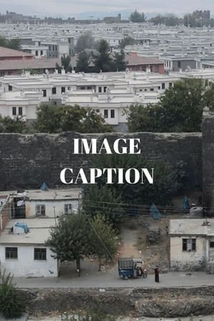 Fotoğraf Altı