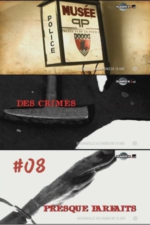 Des crimes presque parfaits第8季