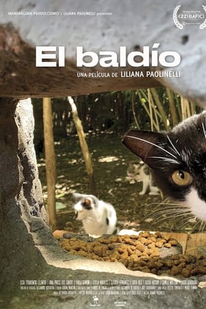 El baldío