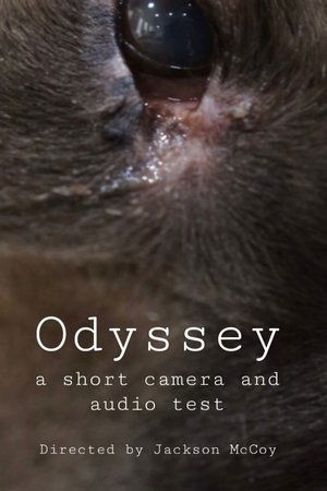 Odyssey - a camera and audio test