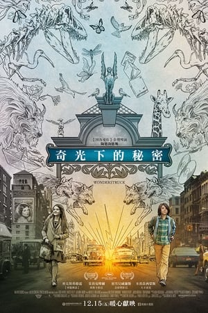 寂静中的惊奇