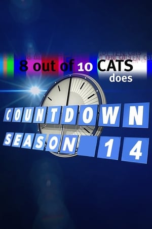 10只猫中有8只会倒计时第14季