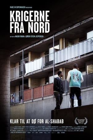 Krigerne fra Nord