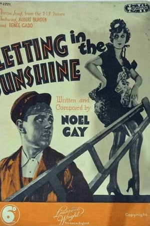 Letting in the Sunshine