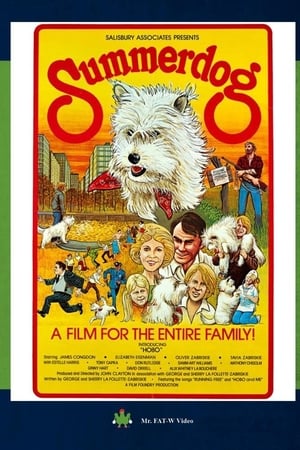 Summerdog