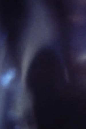 Flexcam