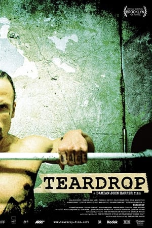 Teardrop