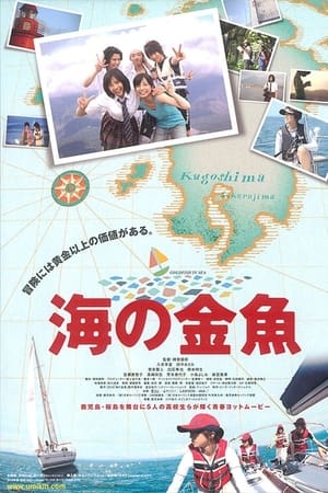 海の金魚