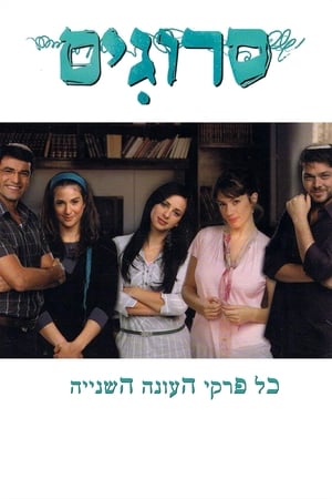 סרוגים第2季