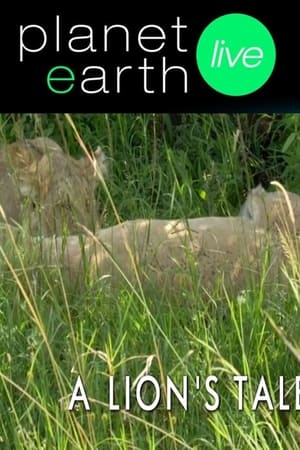 A Lion's Tale