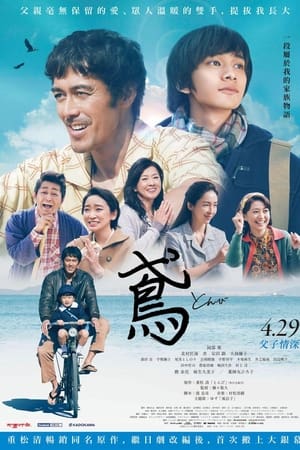 鸢