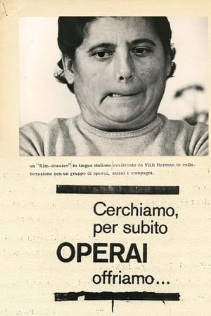Cerchiamo per subito operai, offriamo...