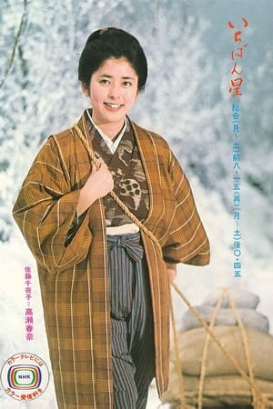 宛如星星